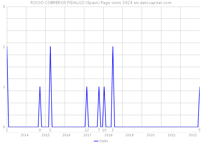 ROCIO COBREROS FIDALGO (Spain) Page visits 2024 