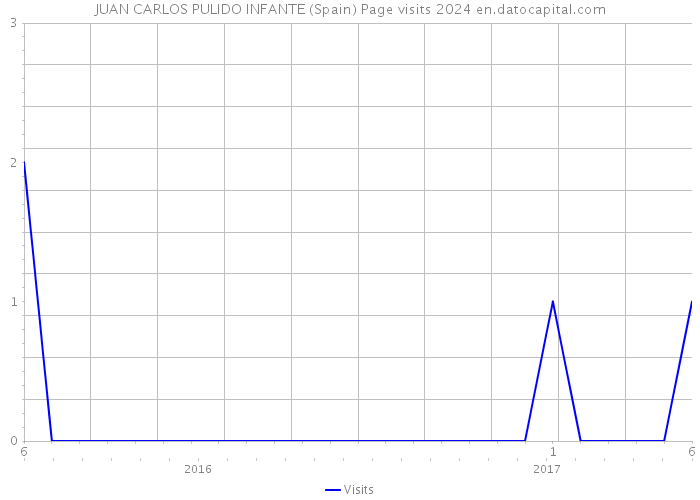 JUAN CARLOS PULIDO INFANTE (Spain) Page visits 2024 