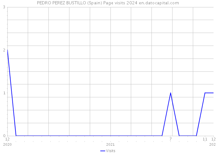 PEDRO PEREZ BUSTILLO (Spain) Page visits 2024 