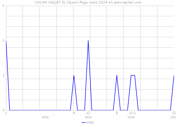 CALVIA VALLEY SL (Spain) Page visits 2024 
