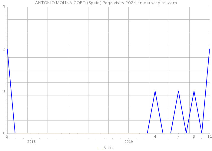 ANTONIO MOLINA COBO (Spain) Page visits 2024 