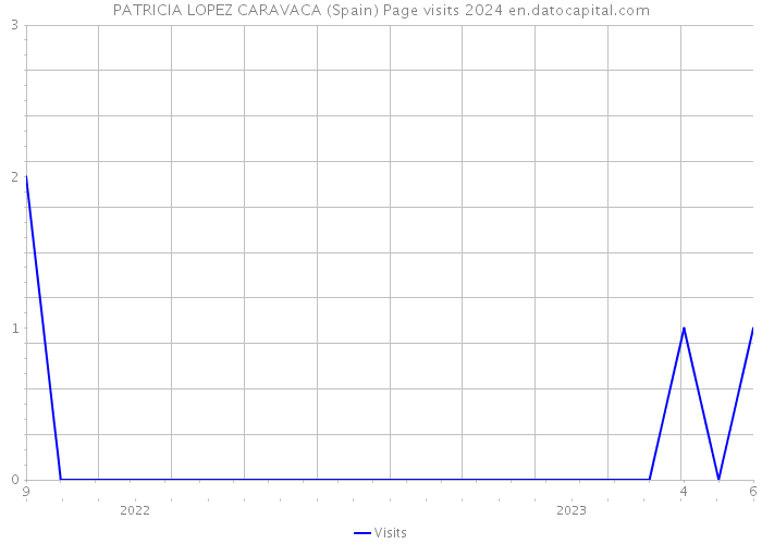 PATRICIA LOPEZ CARAVACA (Spain) Page visits 2024 