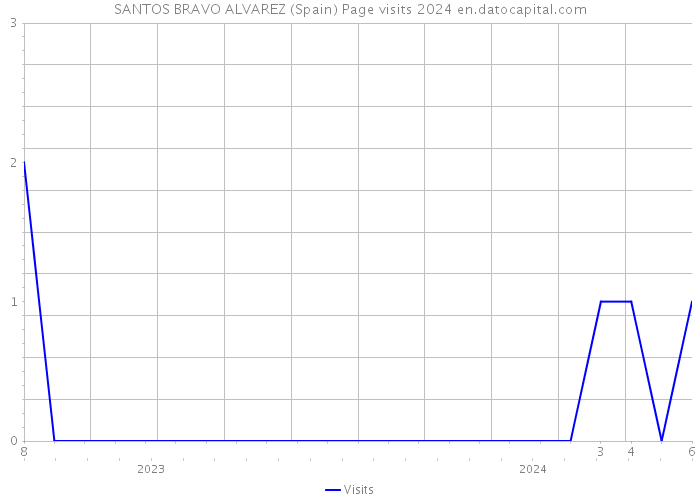 SANTOS BRAVO ALVAREZ (Spain) Page visits 2024 