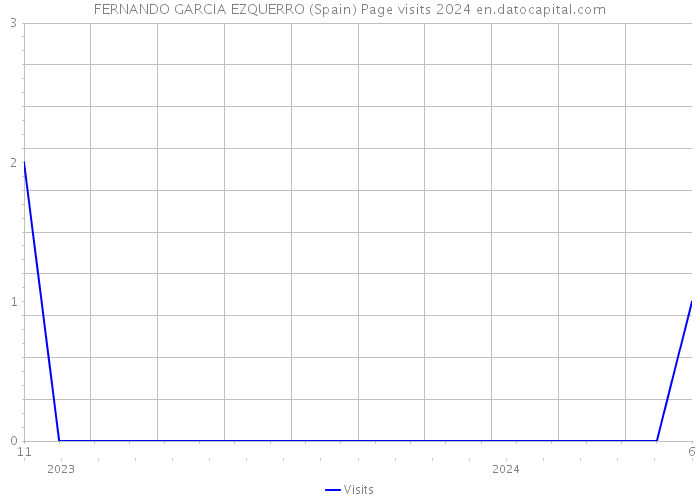 FERNANDO GARCIA EZQUERRO (Spain) Page visits 2024 