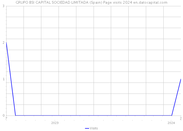 GRUPO BSI CAPITAL SOCIEDAD LIMITADA (Spain) Page visits 2024 