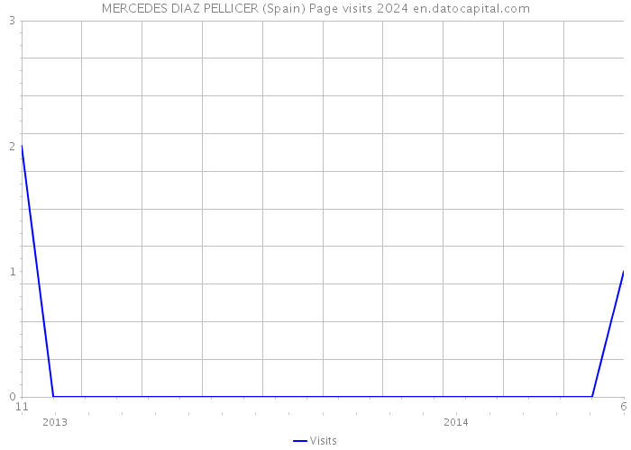 MERCEDES DIAZ PELLICER (Spain) Page visits 2024 