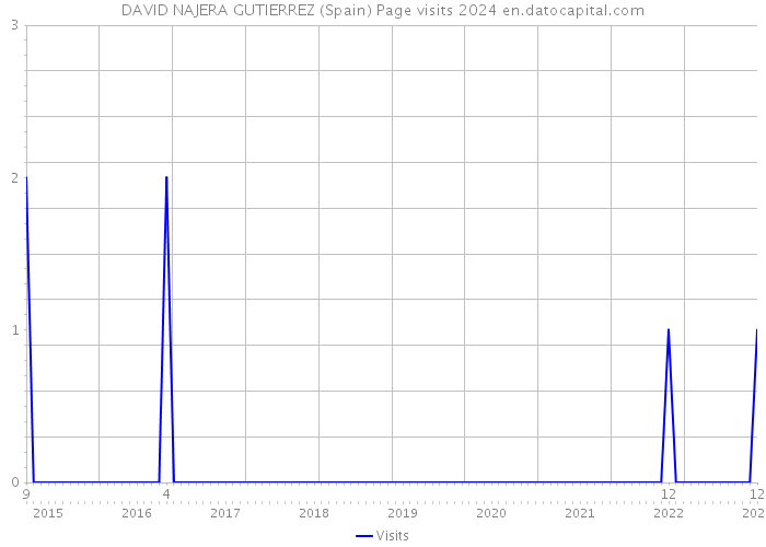 DAVID NAJERA GUTIERREZ (Spain) Page visits 2024 