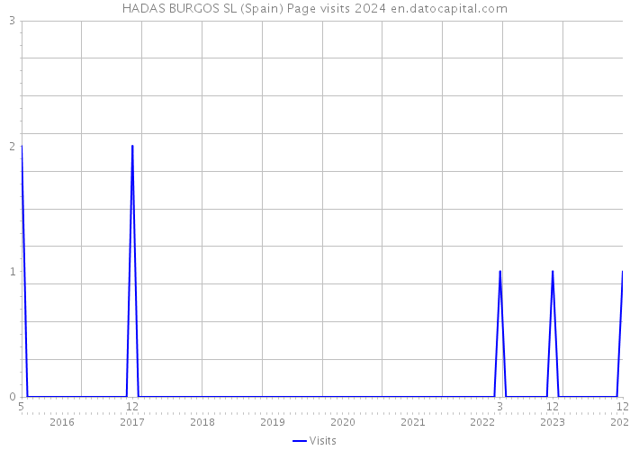 HADAS BURGOS SL (Spain) Page visits 2024 