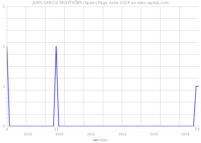 JUAN GARCIA MONTAÑES (Spain) Page visits 2024 