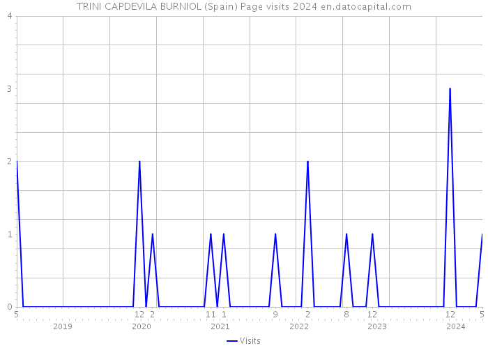 TRINI CAPDEVILA BURNIOL (Spain) Page visits 2024 