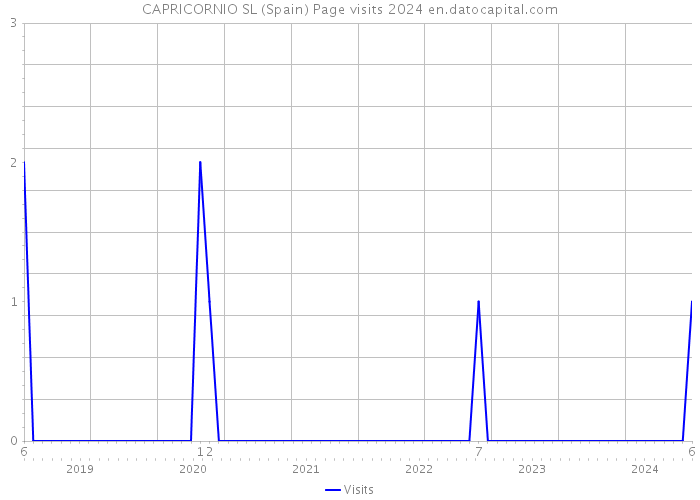 CAPRICORNIO SL (Spain) Page visits 2024 