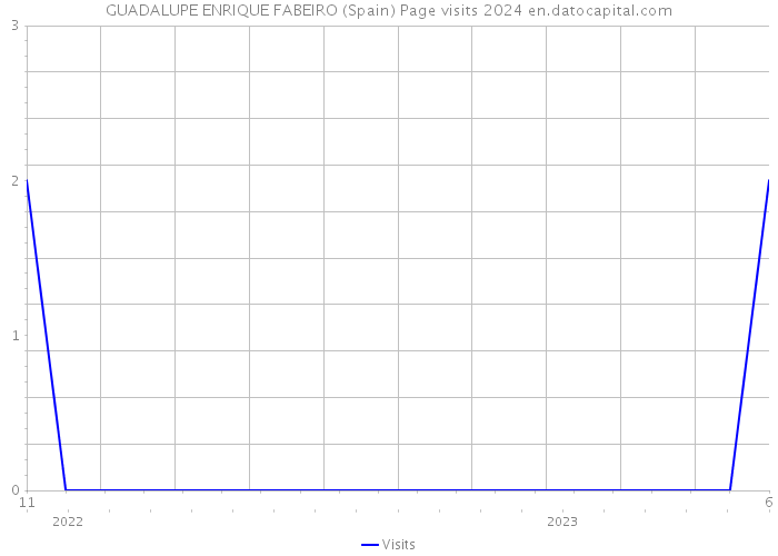 GUADALUPE ENRIQUE FABEIRO (Spain) Page visits 2024 