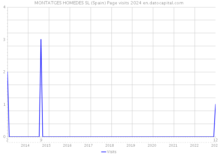 MONTATGES HOMEDES SL (Spain) Page visits 2024 