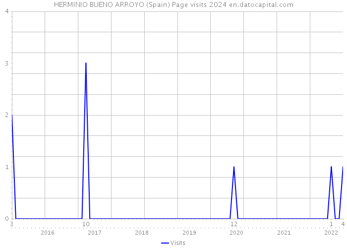 HERMINIO BUENO ARROYO (Spain) Page visits 2024 