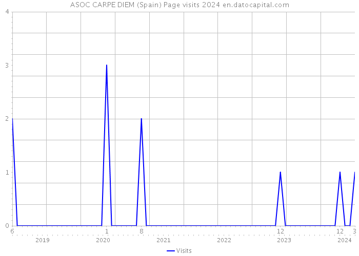 ASOC CARPE DIEM (Spain) Page visits 2024 
