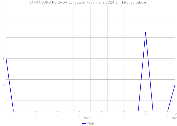 CARRAGORO REIGADA SL (Spain) Page visits 2024 