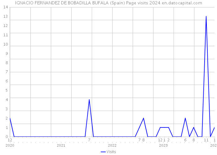 IGNACIO FERNANDEZ DE BOBADILLA BUFALA (Spain) Page visits 2024 