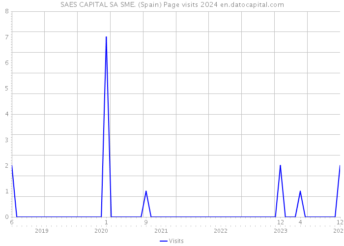 SAES CAPITAL SA SME. (Spain) Page visits 2024 
