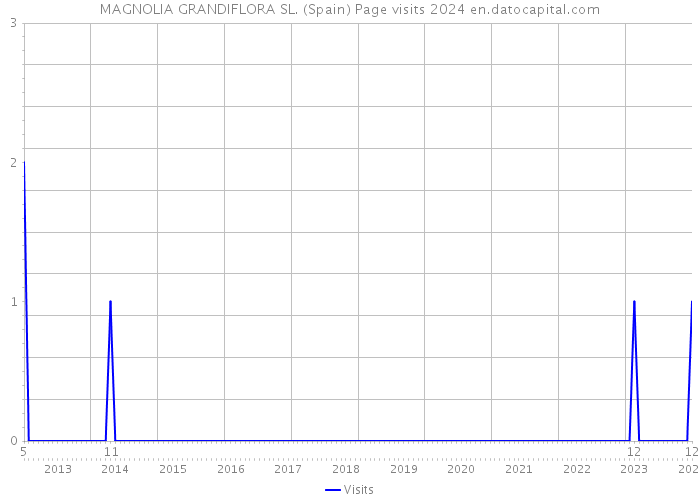 MAGNOLIA GRANDIFLORA SL. (Spain) Page visits 2024 