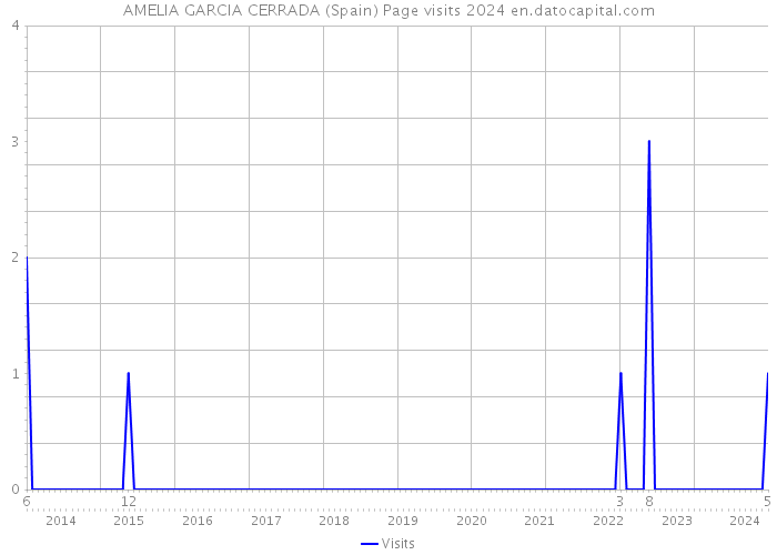 AMELIA GARCIA CERRADA (Spain) Page visits 2024 