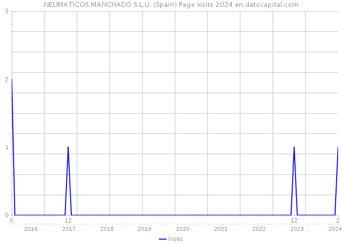 NEUMATICOS MANCHADO S.L.U. (Spain) Page visits 2024 