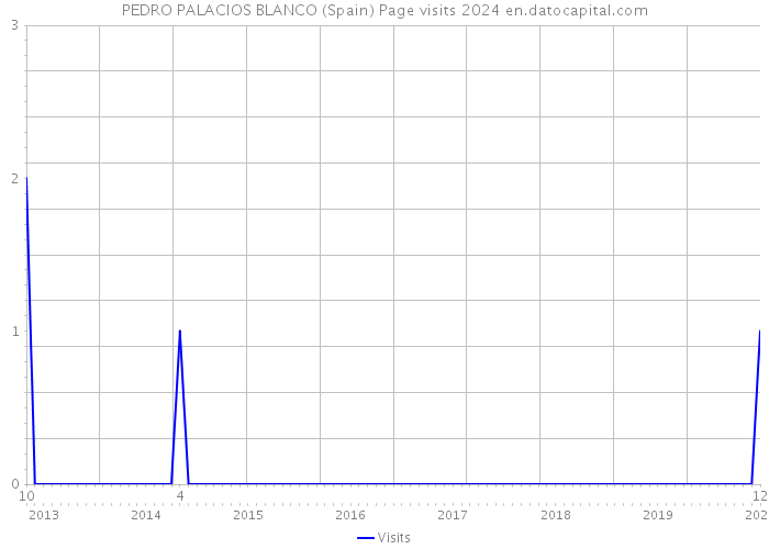 PEDRO PALACIOS BLANCO (Spain) Page visits 2024 