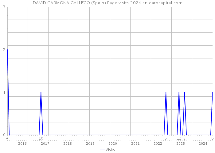 DAVID CARMONA GALLEGO (Spain) Page visits 2024 