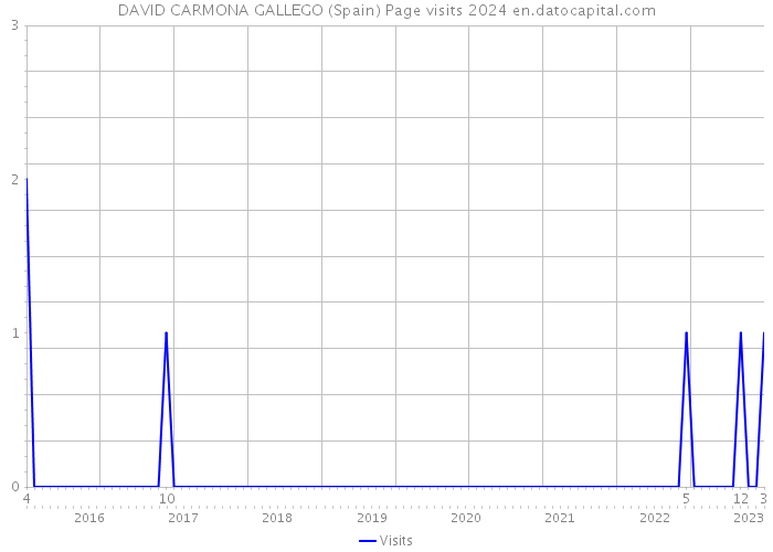 DAVID CARMONA GALLEGO (Spain) Page visits 2024 