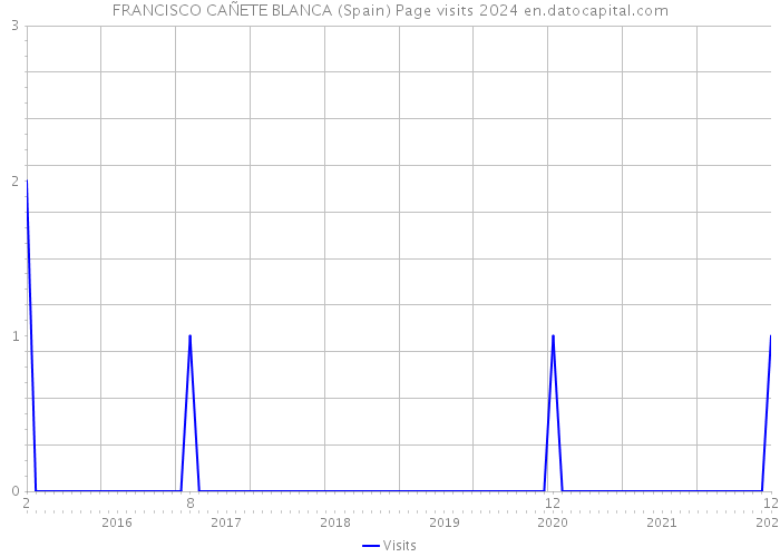 FRANCISCO CAÑETE BLANCA (Spain) Page visits 2024 