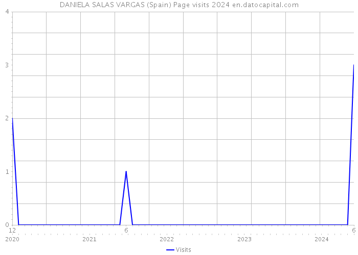 DANIELA SALAS VARGAS (Spain) Page visits 2024 