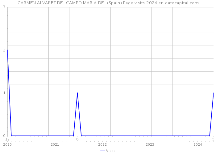 CARMEN ALVAREZ DEL CAMPO MARIA DEL (Spain) Page visits 2024 