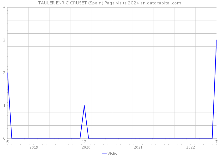 TAULER ENRIC CRUSET (Spain) Page visits 2024 