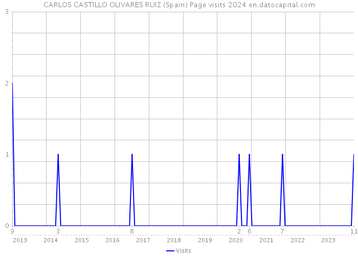CARLOS CASTILLO OLIVARES RUIZ (Spain) Page visits 2024 
