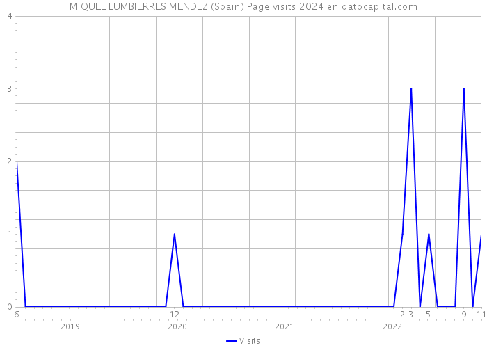 MIQUEL LUMBIERRES MENDEZ (Spain) Page visits 2024 