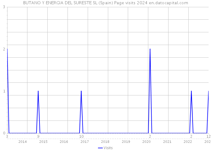 BUTANO Y ENERGIA DEL SURESTE SL (Spain) Page visits 2024 