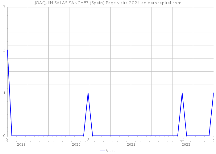 JOAQUIN SALAS SANCHEZ (Spain) Page visits 2024 