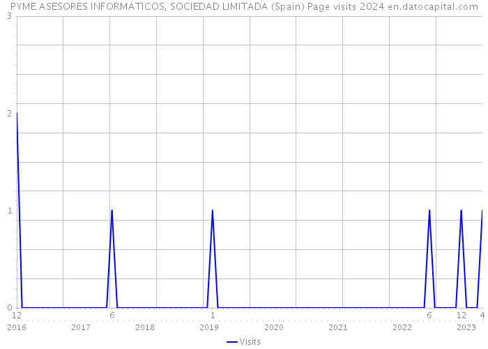 PYME ASESORES INFORMATICOS, SOCIEDAD LIMITADA (Spain) Page visits 2024 