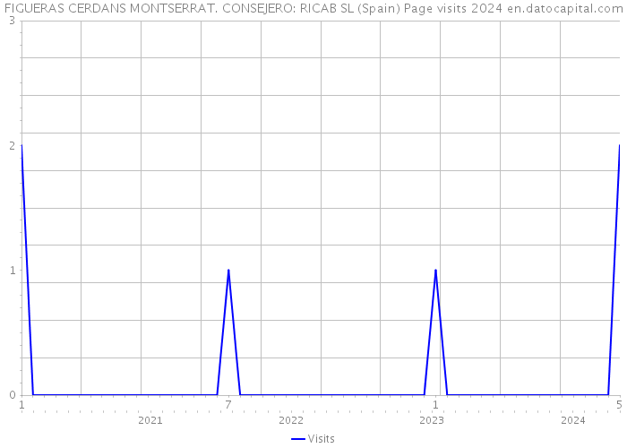 FIGUERAS CERDANS MONTSERRAT. CONSEJERO: RICAB SL (Spain) Page visits 2024 