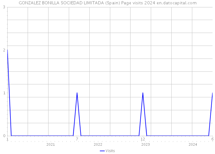 GONZALEZ BONILLA SOCIEDAD LIMITADA (Spain) Page visits 2024 