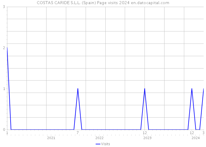 COSTAS CARIDE S.L.L. (Spain) Page visits 2024 