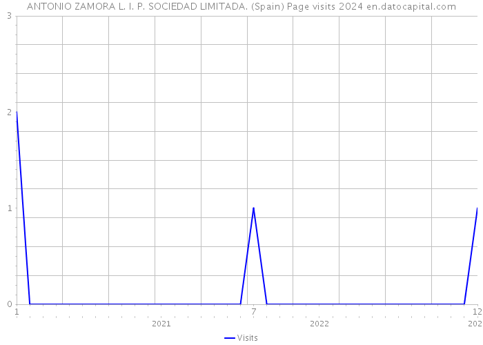 ANTONIO ZAMORA L. I. P. SOCIEDAD LIMITADA. (Spain) Page visits 2024 