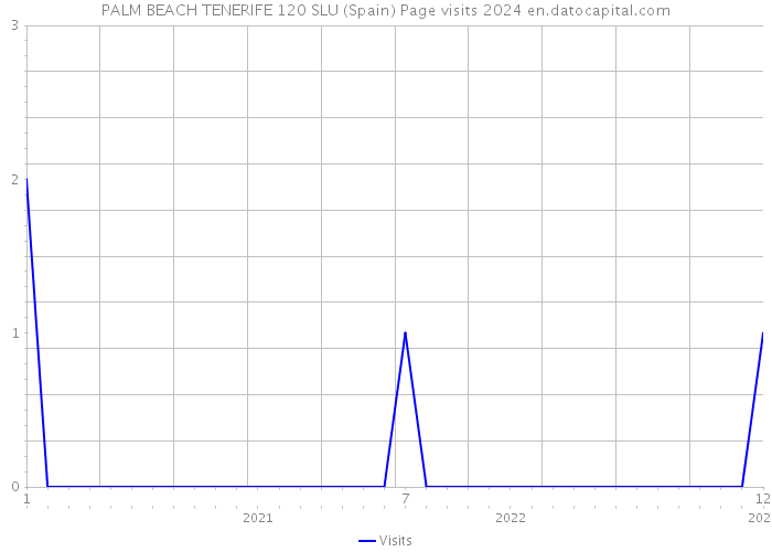 PALM BEACH TENERIFE 120 SLU (Spain) Page visits 2024 