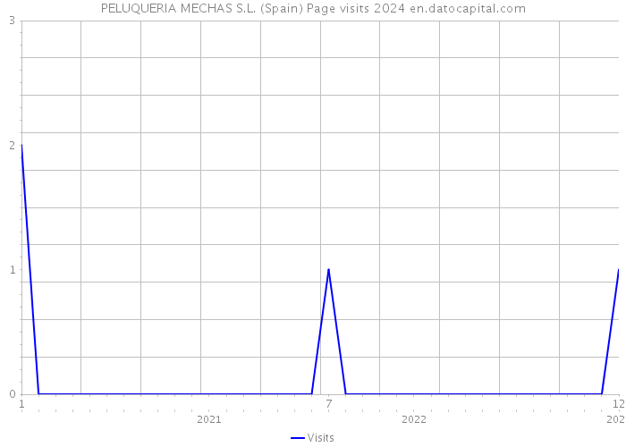 PELUQUERIA MECHAS S.L. (Spain) Page visits 2024 