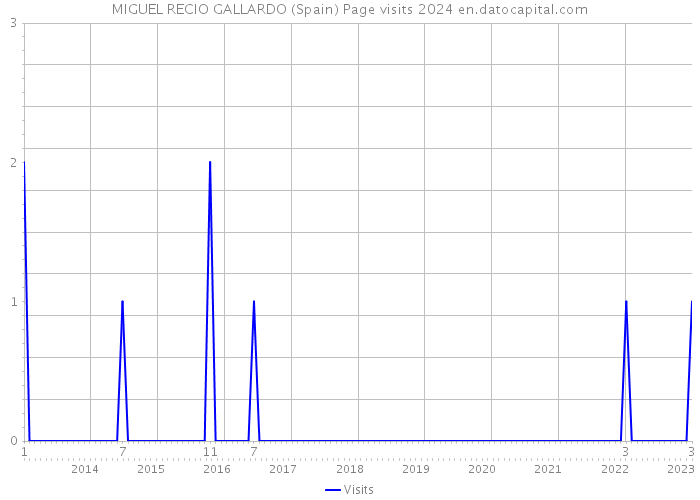 MIGUEL RECIO GALLARDO (Spain) Page visits 2024 