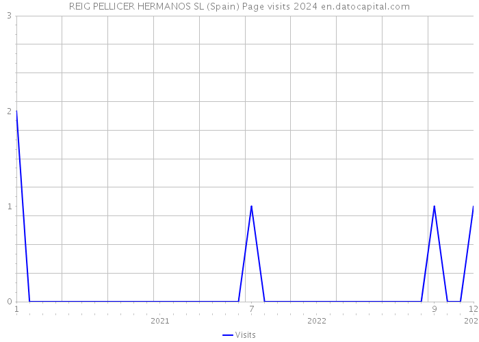 REIG PELLICER HERMANOS SL (Spain) Page visits 2024 