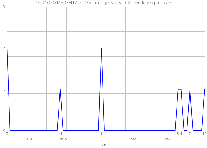 CELICIOSO MARBELLA SL (Spain) Page visits 2024 