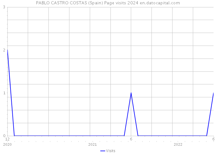 PABLO CASTRO COSTAS (Spain) Page visits 2024 