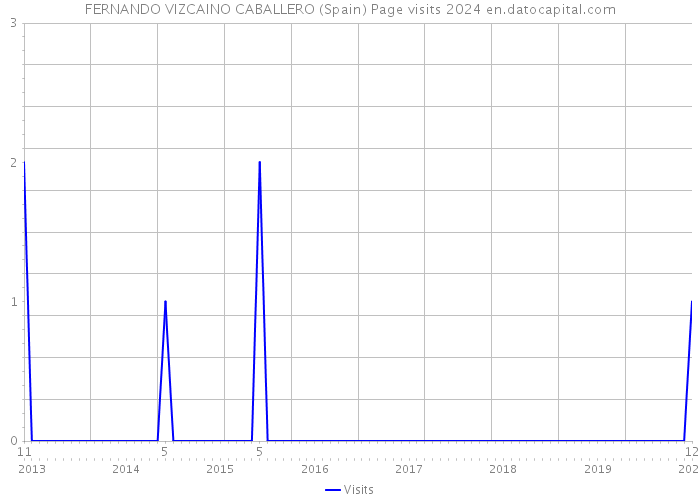 FERNANDO VIZCAINO CABALLERO (Spain) Page visits 2024 