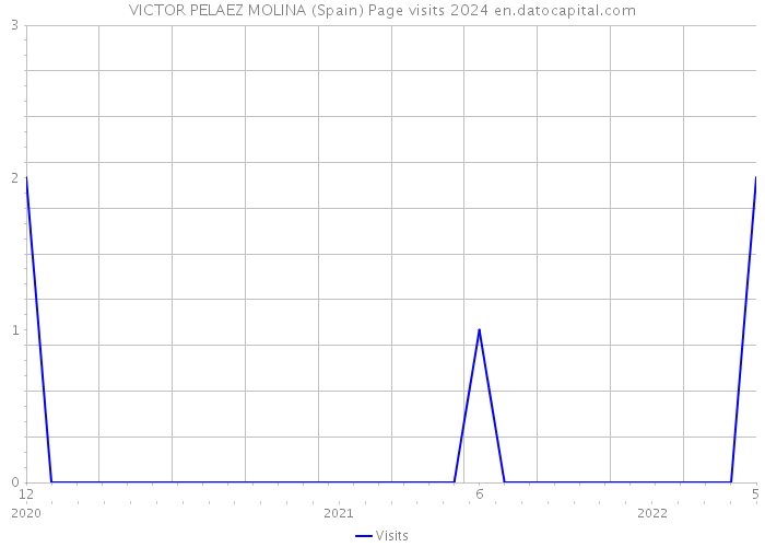 VICTOR PELAEZ MOLINA (Spain) Page visits 2024 