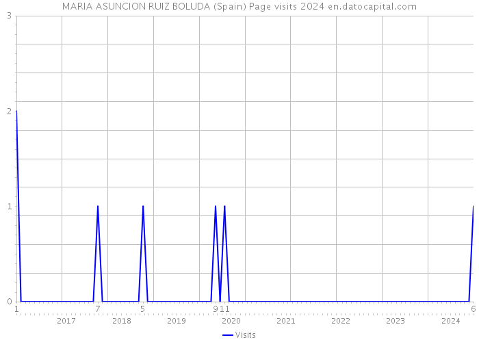 MARIA ASUNCION RUIZ BOLUDA (Spain) Page visits 2024 